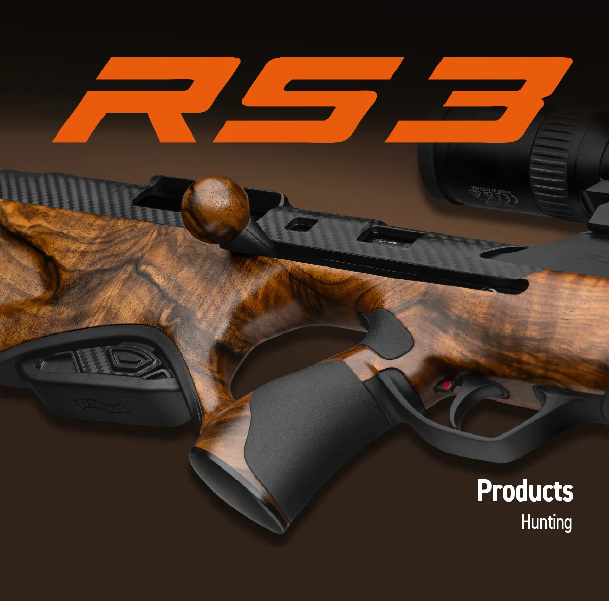 Home 10 WALTHER RS3 Kachel Waffenmodelle EN